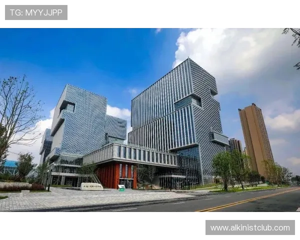 中国集团DB真人旗舰不断创新，推动国内真人娱乐行业高质量发展